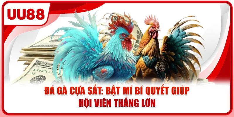 Đá Gà Cựa Sắt: Bật Mí Bí Quyết Giúp Hội Viên Thắng Lớn