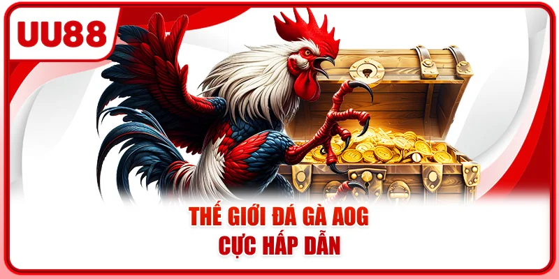 Thế giới đá gà AOG cực hấp dẫn