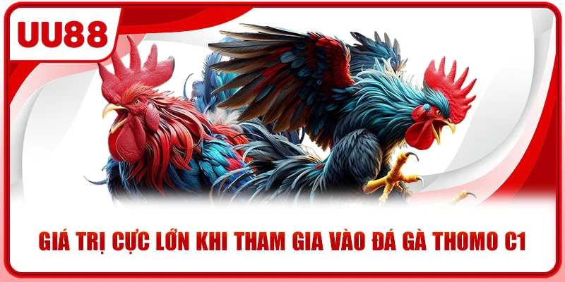 Giá trị cực lớn khi tham gia vào đá gà Thomo C1